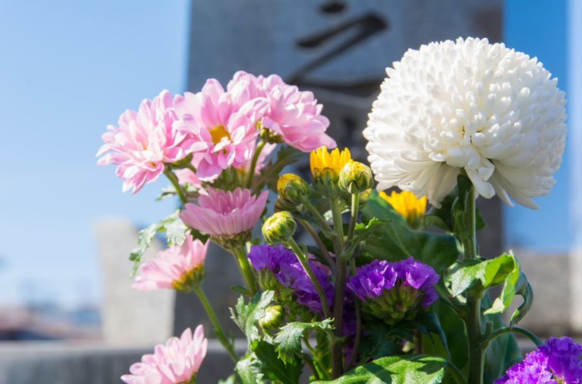 お墓に行ってはいけない日や、お供えしてはいけないものってあるの？